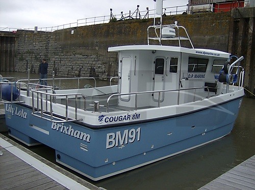 Cougar Catamaran 8m Cougar Catamaran 8m, Somerset - FAFB