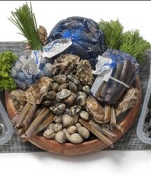 UNDEPURATED CLEAN MUSSEL, CLAMS, RAZOR CLAMS, OYSTERS, LOBSTERS, COCKLES WANTED - picture 1
