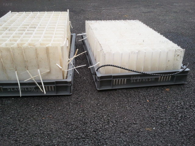 Prawn Tubes and Crates - picture 1