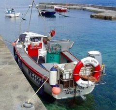 Under 8m commercial/ licenced fishing boats