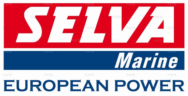 Selva Commercial Outboards( NOW IN STOCK) - picture 1