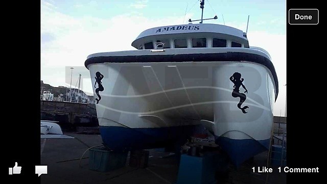 Gemini/fastcat - picture 1