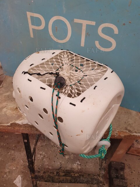 Lay down whelk pots - picture 1