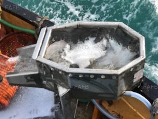 Boat refit service, Net Drums, Fish washer, kort Nozzle - picture 1