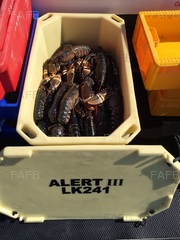 220 Ltr Insulated Fishtub - ID:76585