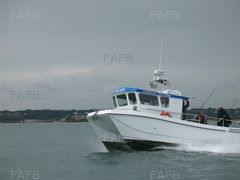 cougar boats for sale fafb