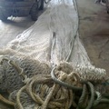 For sale Sprat Brailer and Mackerel and Herring Mid Water trawl - picture 3